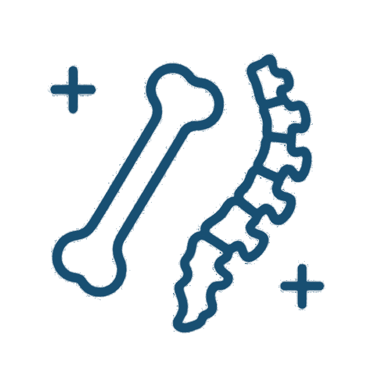 fizjoterapia-ortopedyczna-ikona1